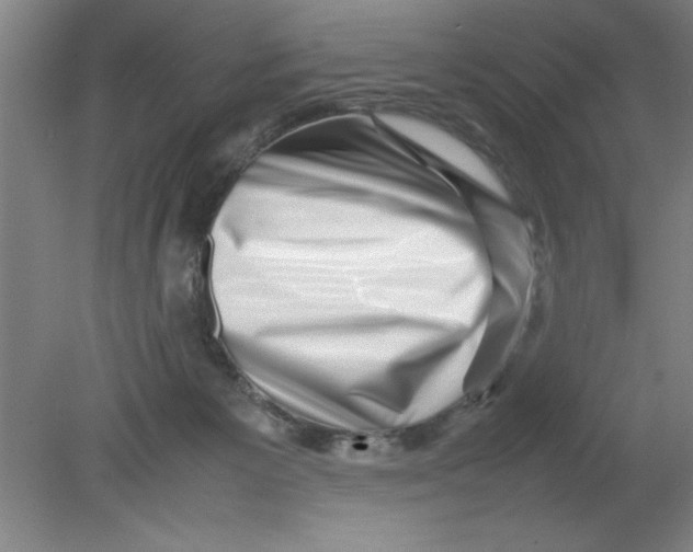 X0000080120125200612302020