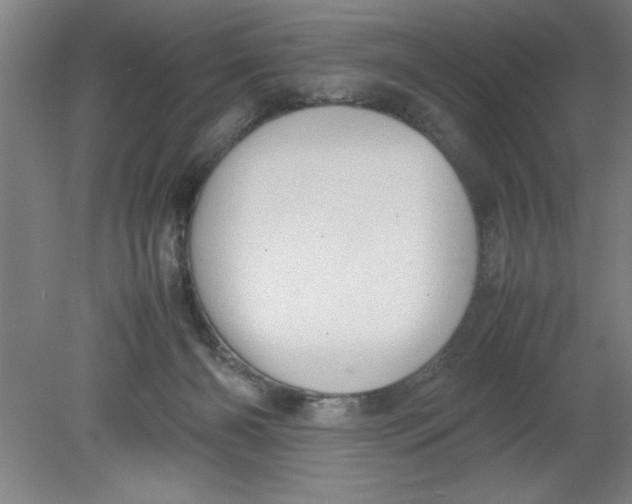 X0000080120126200612302020