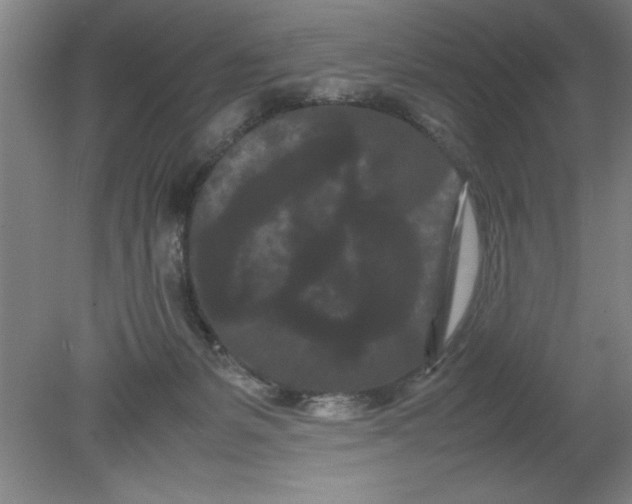 X0000080120127200612302020