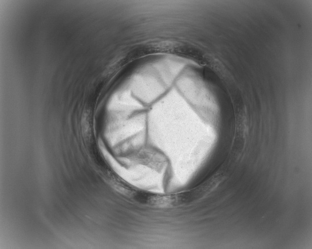 X0000080120131200612302020