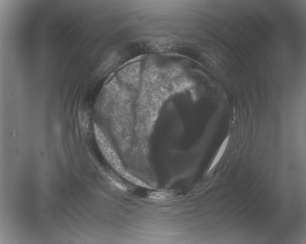 X0000080120139200612302020