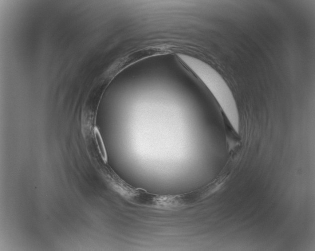 X0000080120141200612302020