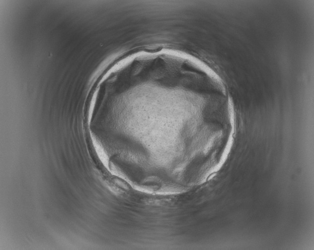 X0000080120147200612302019