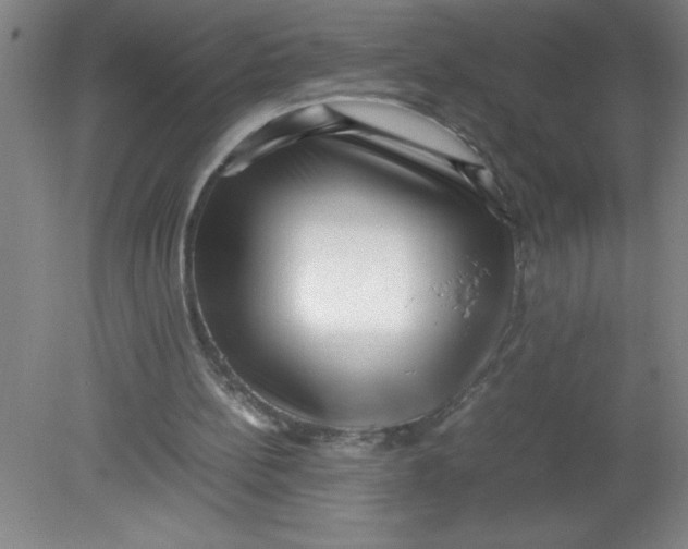 X0000080120148200612302019
