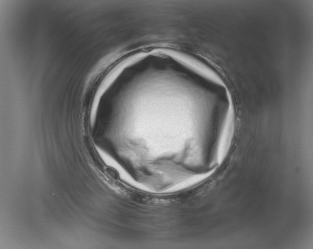 X0000080120149200612302019