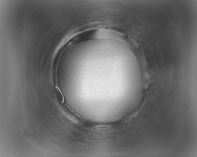 X0000080120150200612302019