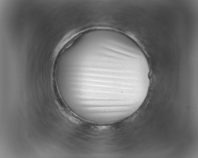 X0000080120151200612302019