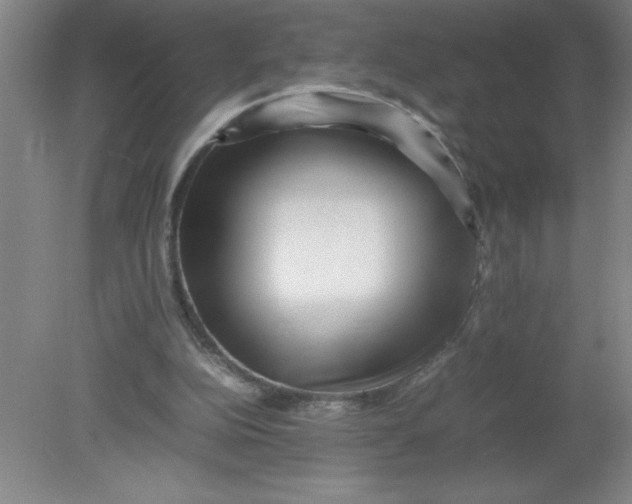 X0000080120152200612302019