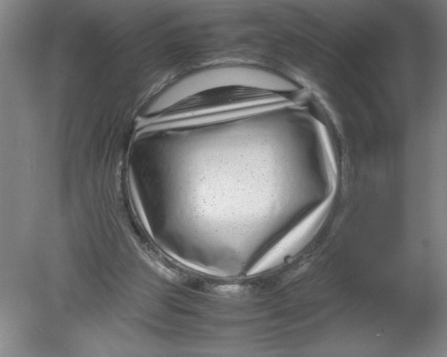 X0000080120153200612302019