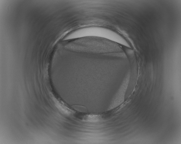 X0000080120154200612302019