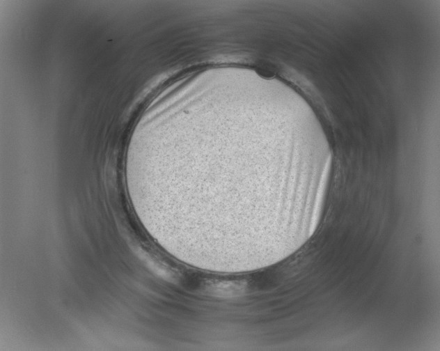 X0000080120155200612302019