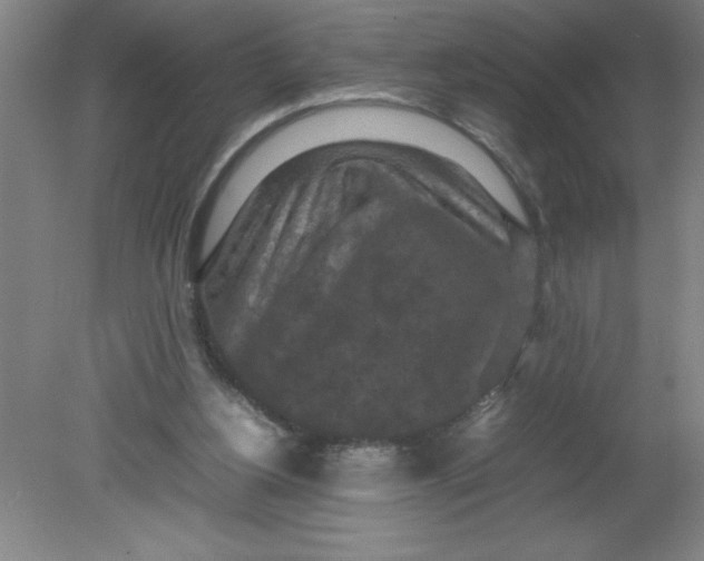X0000080120156200612302019