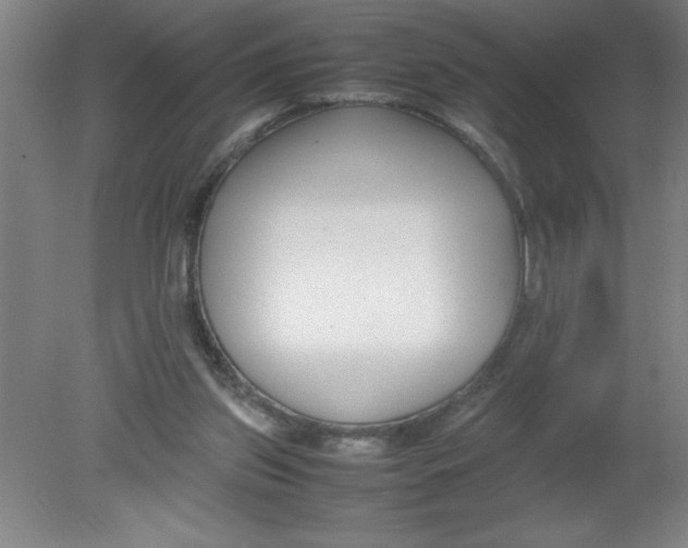 X0000080120157200612302019