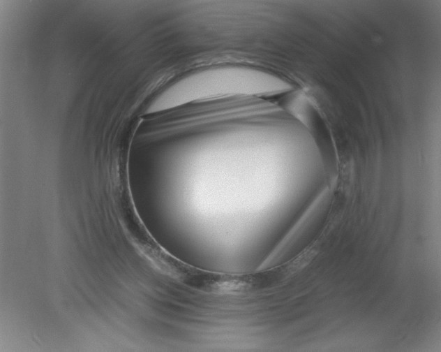 X0000080120158200612302019