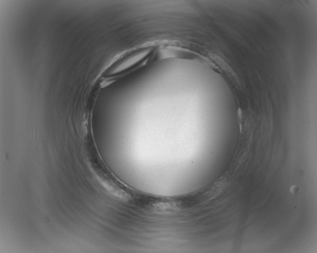 X0000080120160200612302019