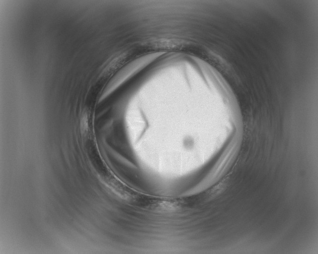 X0000080120166200612302019