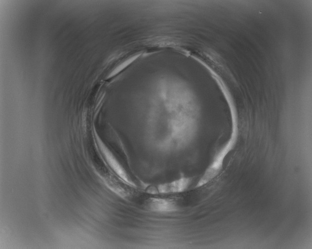 X0000080120167200612302019