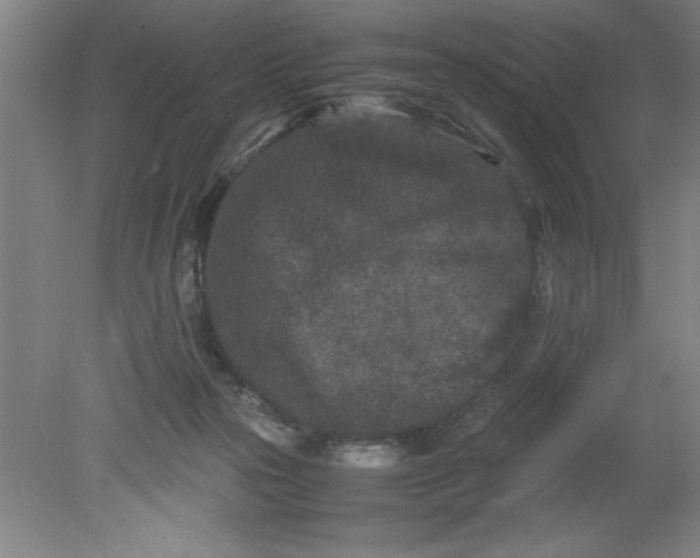 X0000080120169200612302019