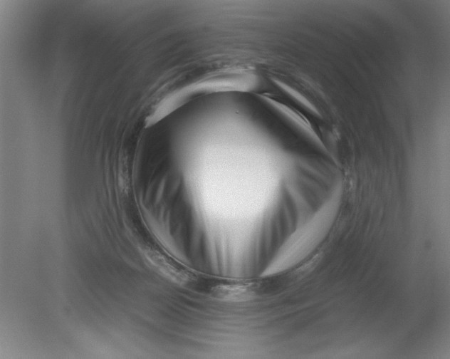 X0000080120170200612302019