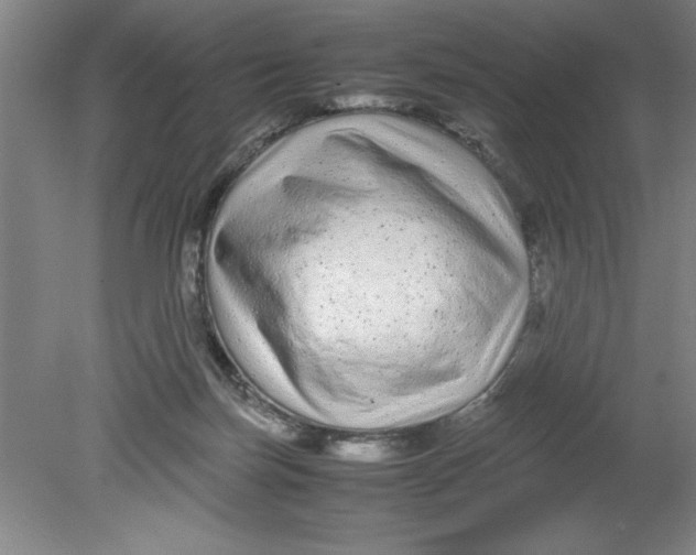 X0000080120171200612302019