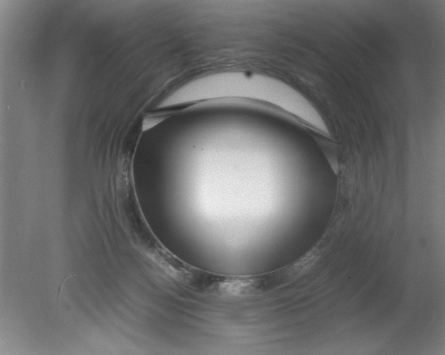 X0000080120172200612302019