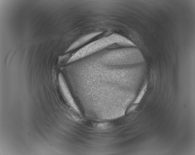 X0000080120173200612302019