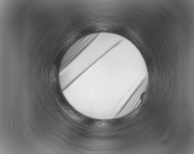 X0000080120174200612302019