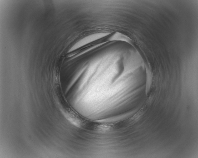 X0000080120176200612302019