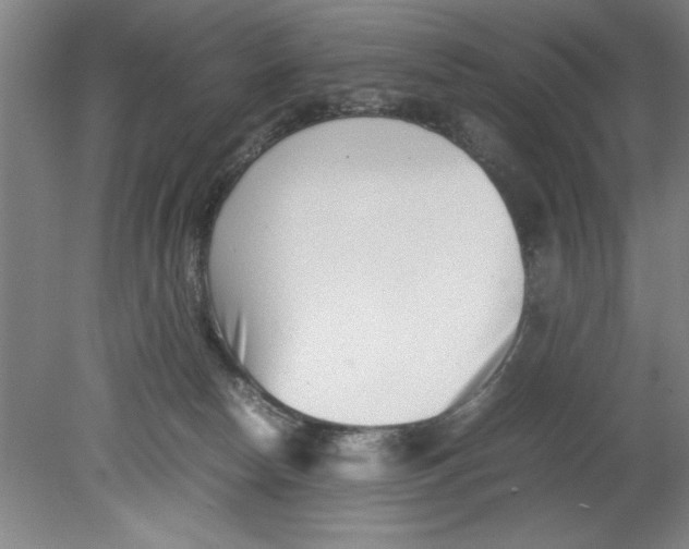 X0000080120178200612302019