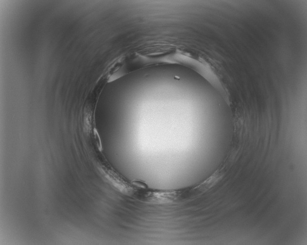 X0000080120188200612302020