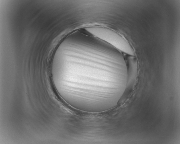 X0000080120193200612302019