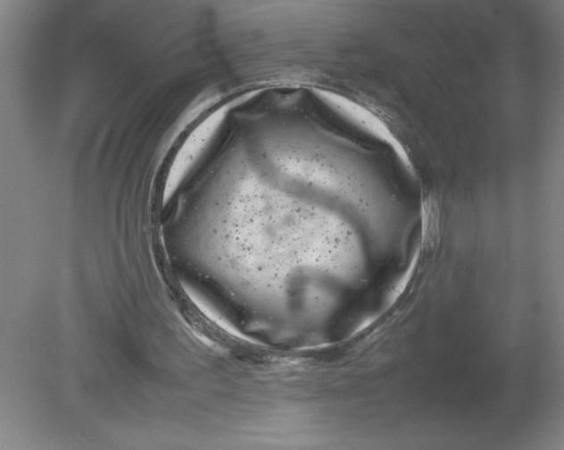 X0000080120195200612302019
