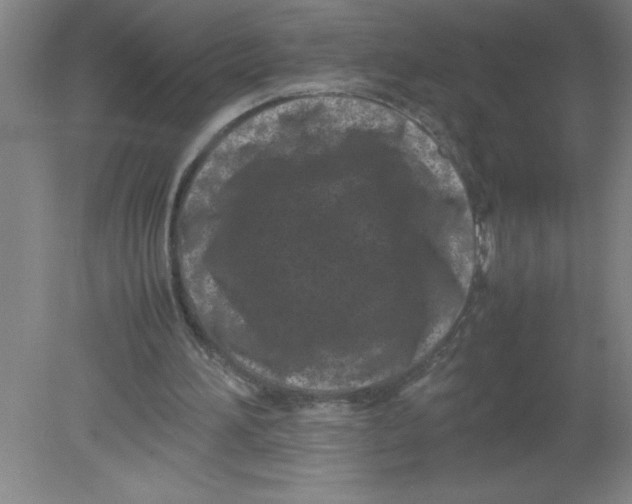 X0000080120196200612302019