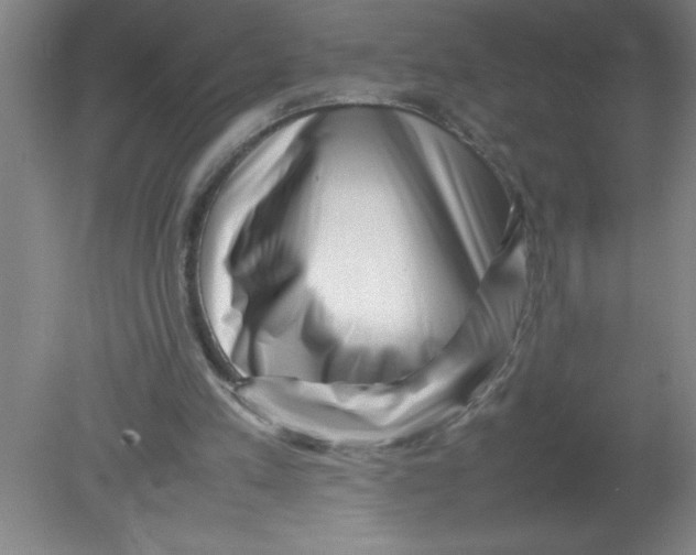 X0000080120197200612302019