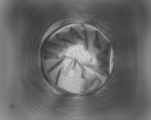 X0000080120198200612302019