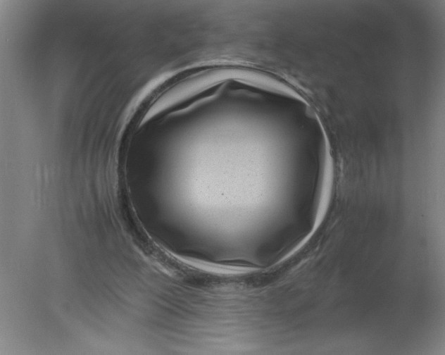 X0000080120200200612302019