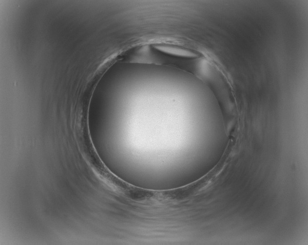 X0000080120201200612302019