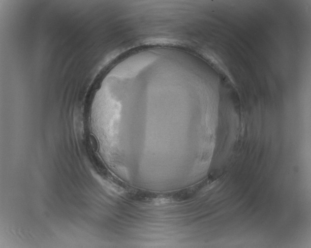 X0000080120204200612302019