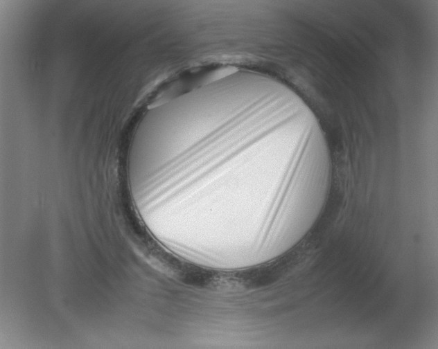 X0000080120207200612302019