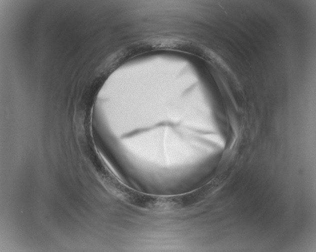 X0000080120209200612302019
