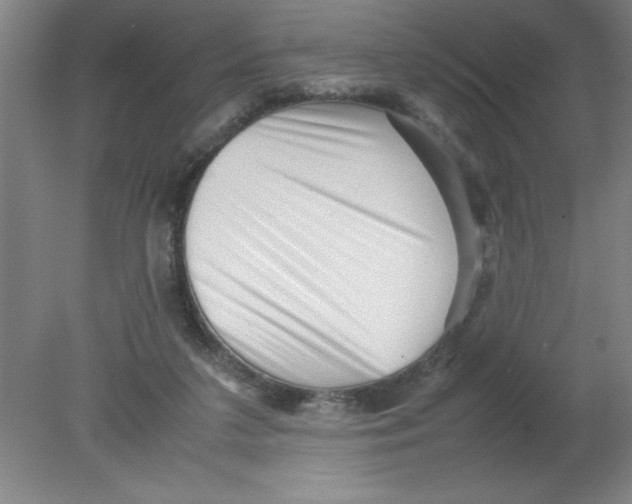 X0000080120211200612302019