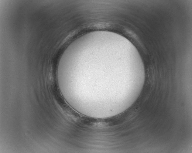 X0000080120212200612302019