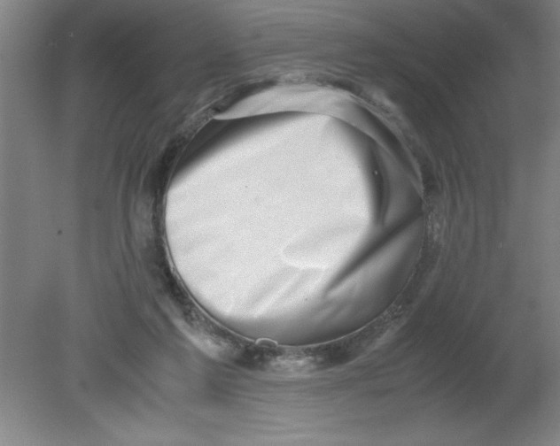 X0000080120213200612302019