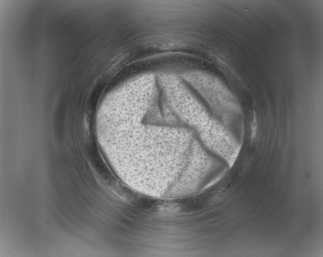 X0000080120214200612302019