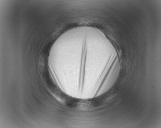 X0000080120215200612302019