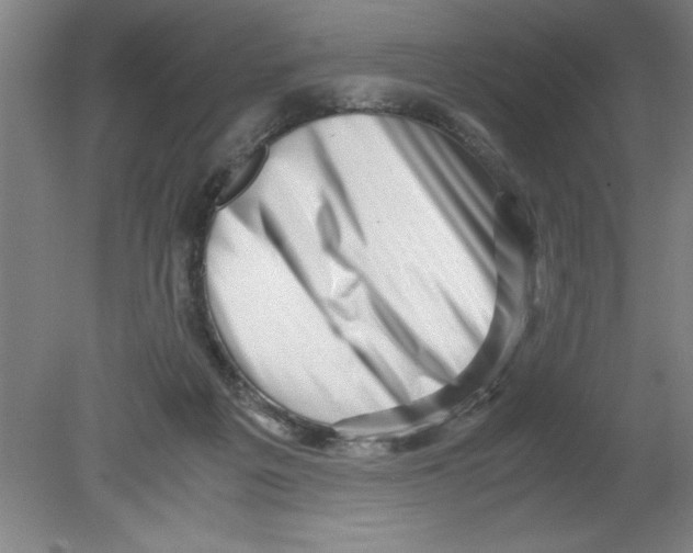 X0000080120217200612302018