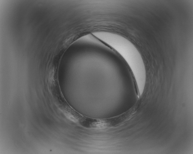 X0000080120219200612302018