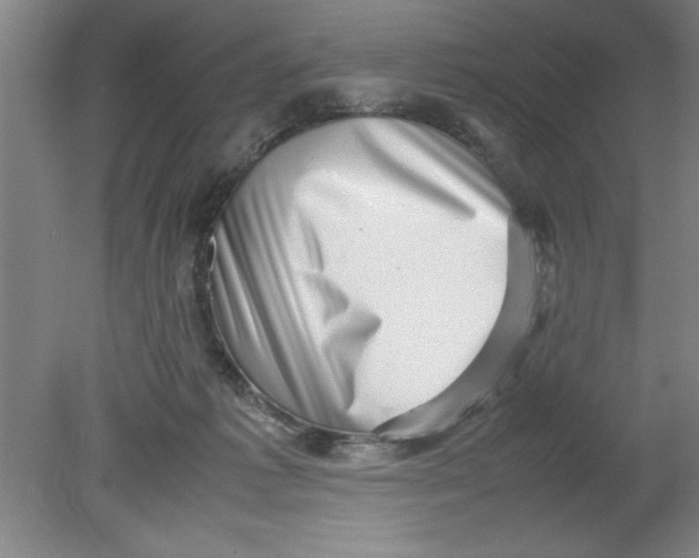 X0000080120221200612302018