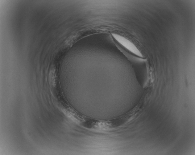 X0000080120223200612302018