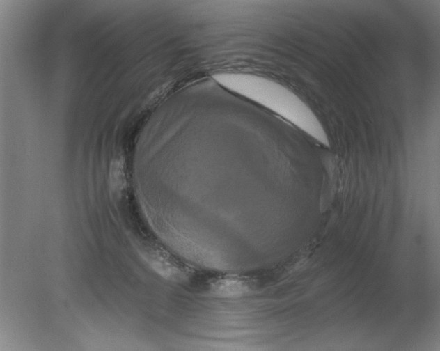 X0000080120224200612302018